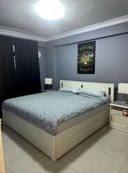 Blk 107 Tiong Bahru Orchid (Bukit Merah), HDB 3 Rooms #546664371